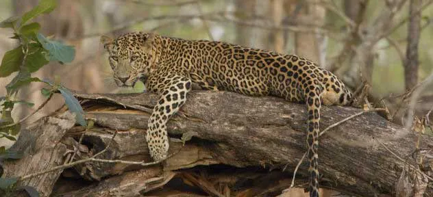 Karnataka Toursim