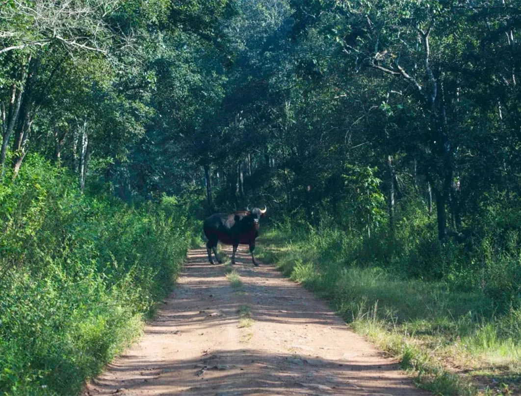 Karnataka Tourism