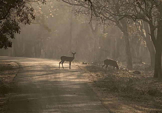 Karnataka Tourism